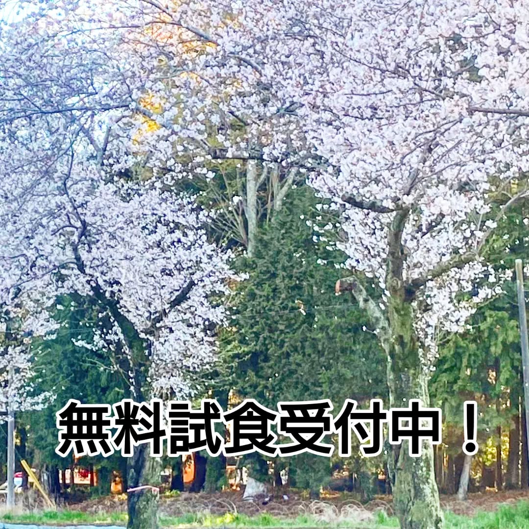 今日も元気に配達しております❗ 昨日の配達中に🌸桜🌸がキレイだったので思わずパチリ📷️ 散ってしまう前にお花見したいですね～✨ ライフデリ千葉若葉店では只今無料試食受付中です。 「食事の支度が大変」「買い物いくのが大変」 そんな方のお...