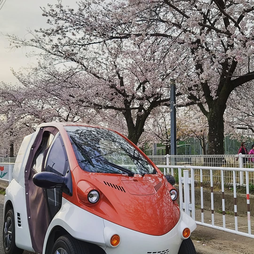 こんにちわ❕ライフデリです☺️ 今日で３月も終わりです。今年も３ヶ月経ちましたが年始に立てた目標は進んでますか？ 明日から新年度の４月かスタートしますので、新たな目標を立てるのもいいですね✨ 今朝は桜が間もなく満開になりそうだったので写真を...