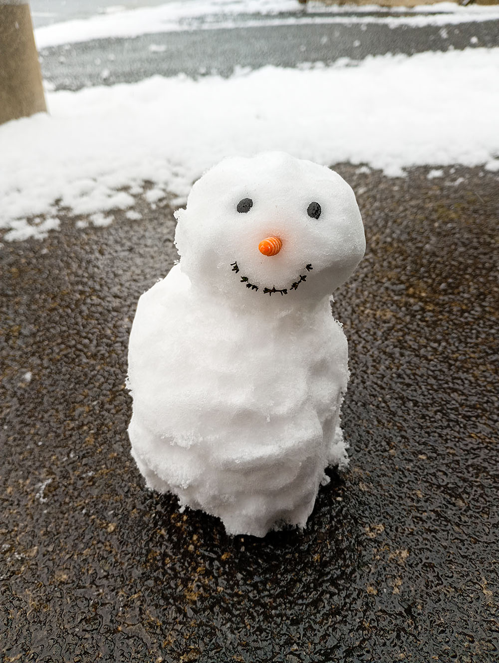 狭山市にも「雪」が降ったよ！
